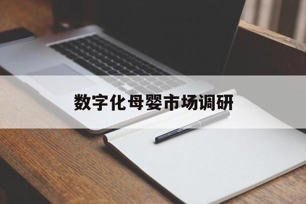 武威市数字化母婴市场调研(数字化母婴市场调研报告)