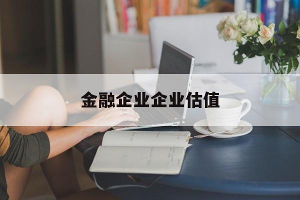 武威市金融企业企业估值(最新企业估值怎么填)